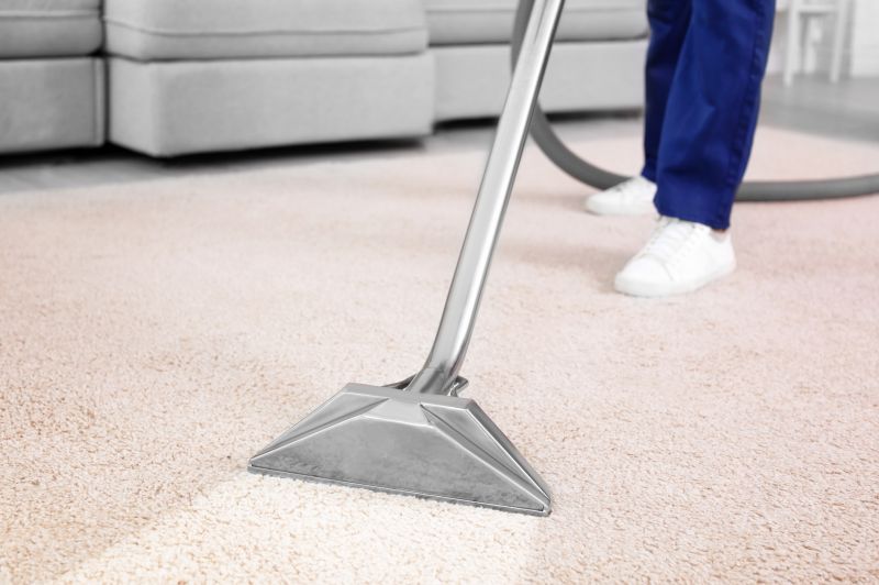 Professional Carpet Cleaning Results