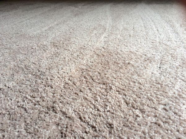 Plush Carpet Installation in Edmond